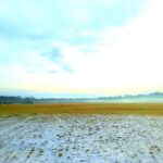 Wiese im Winter