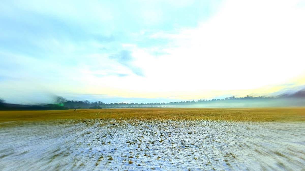 Wiese im Winter